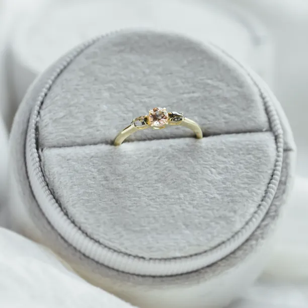 Gold ring with morganite and salt and pepper diamonds DUSTY Image