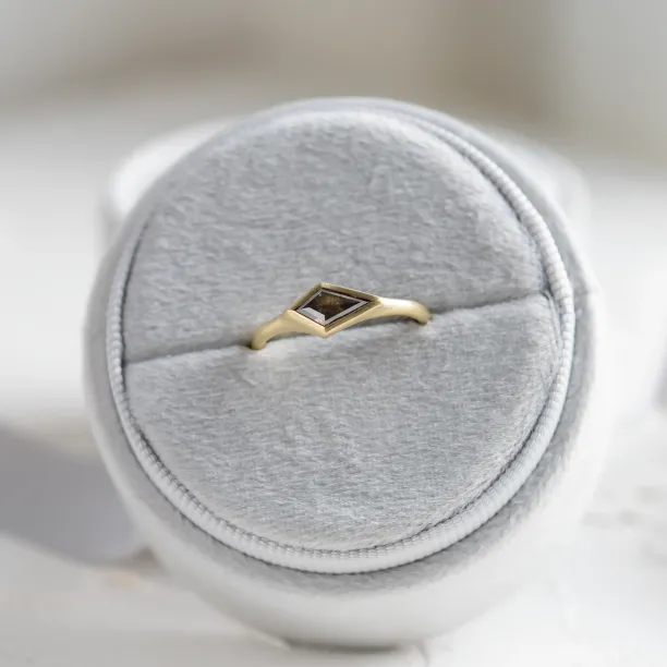 Gold matte ring with kite salt and pepper diamond APEX Image