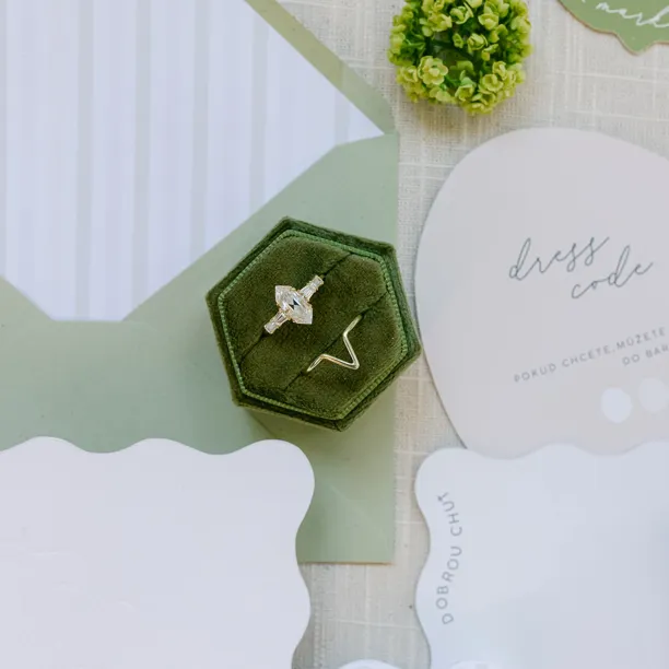 Elegant ring with hexagon moissanite DUKE Image