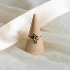 Original ring with salt'n'pepper diamond DOME Thumbnail