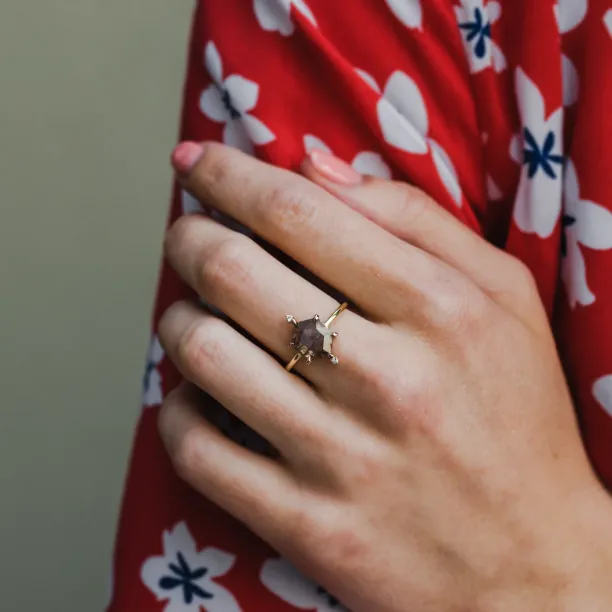 Gold ring with hexagon salt'n'pepper diamond ACHILLE Image