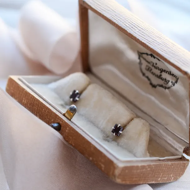 Gold garnet earrings GARNI Image