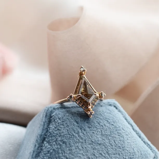 Extravagant ring with salt and pepper diamonds ORNETTE Image