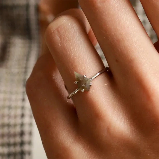 Minimalist ring with kite salt'n'pepper diamond GIUDITTA Image
