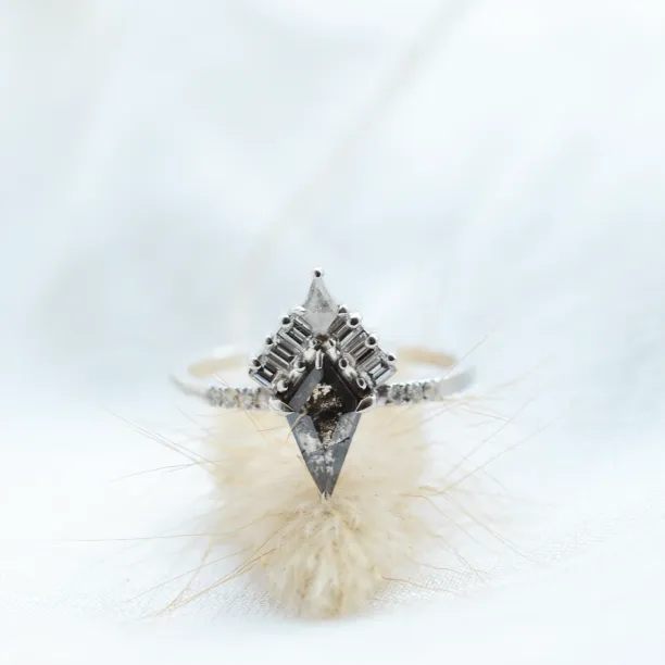 Kite salt and pepper diamond cluster ring with baguette diamonds ELEONORA Image