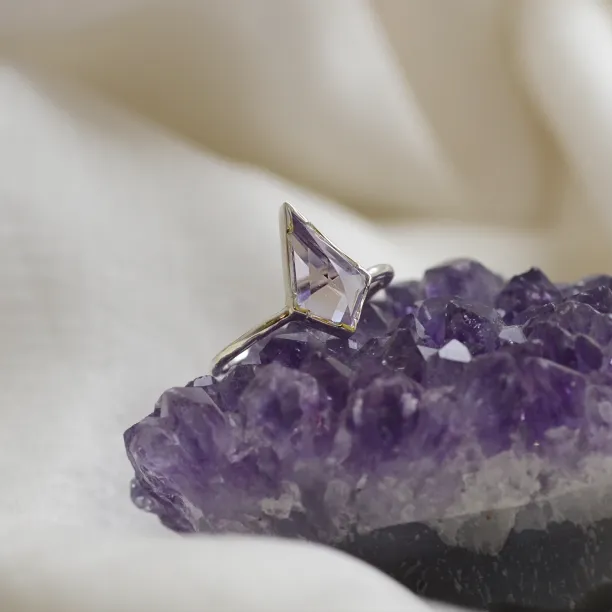Kite amethyst ring in solid gold DARERCA Image