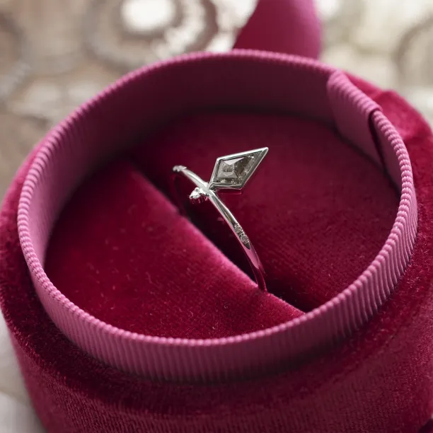 Gold ring with kite salt and pepper diamond and white diamonds CIAN Image