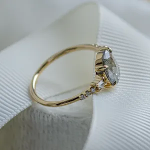 Fine salt and pepper diamond ring with side diamonds BRONAGH Thumbnail