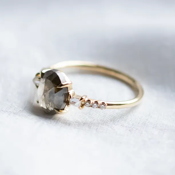 Fine salt and pepper diamond ring with side diamonds BRONAGH Image