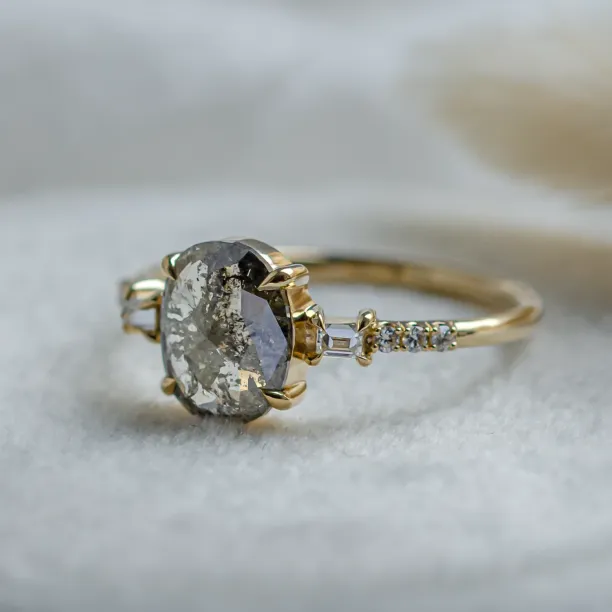 Fine salt and pepper diamond ring with side diamonds BRONAGH Image