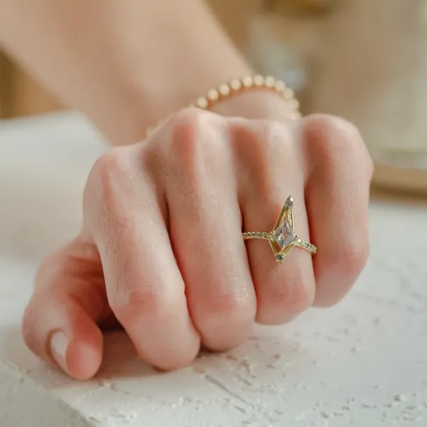 Extravagant ring with salt and pepper diamonds SANIA Image