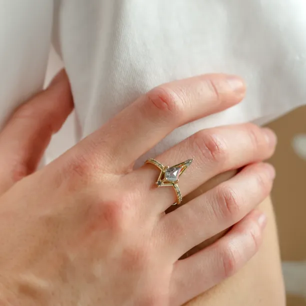 Extravagant ring with salt and pepper diamonds SANIA Image