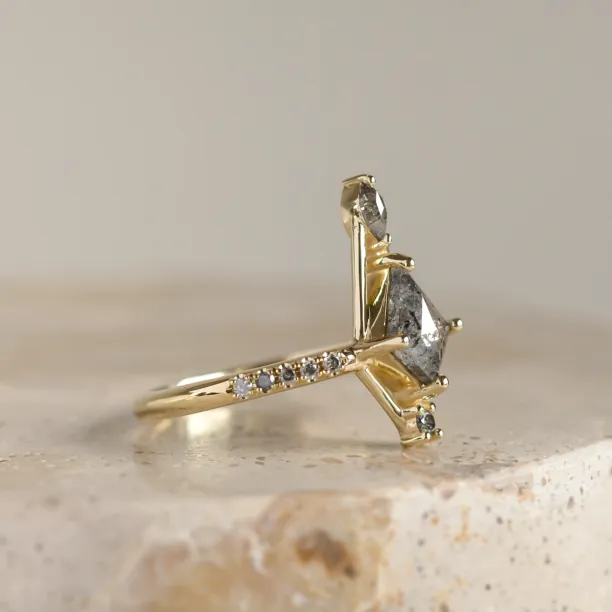 Extravagant ring with salt and pepper diamonds SANIA Image