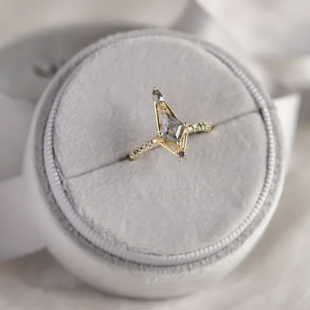 Extravagant ring with salt and pepper diamonds SANIA Image