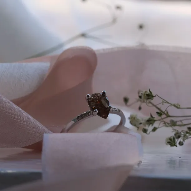 Gold ring with salt and pepper diamond and small diamonds ROXANE Image