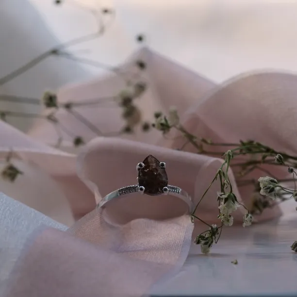 Gold ring with salt and pepper diamond and small diamonds ROXANE Image