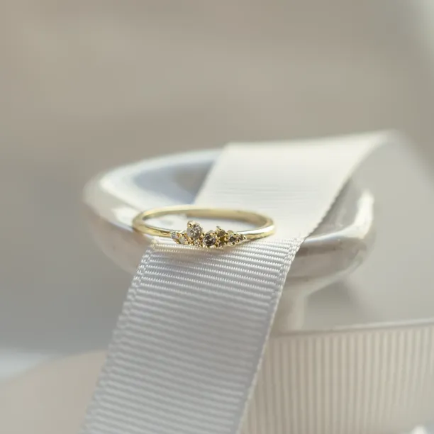 Gold ring with salt and pepper diamonds CLUSTER Image