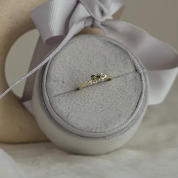Gold ring with salt and pepper diamonds CLARA Image