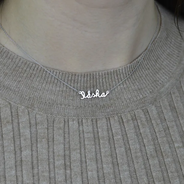 Silver necklace with diamond LASKA Image