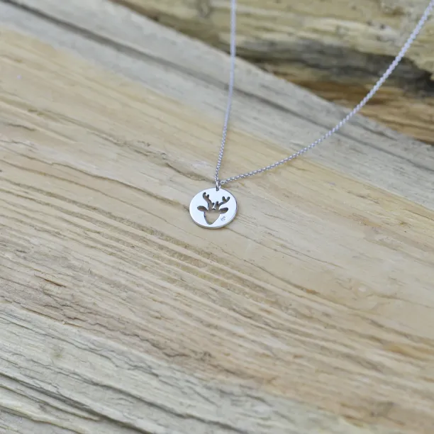 ANN Silver pendant with  a diamond Image