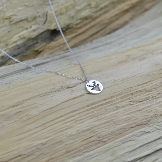 ANN Silver pendant with  a diamond Image