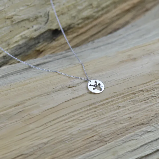 ANN Gold pendant with  a diamond Image