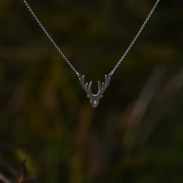 ELIANA diamond necklace of silver Image