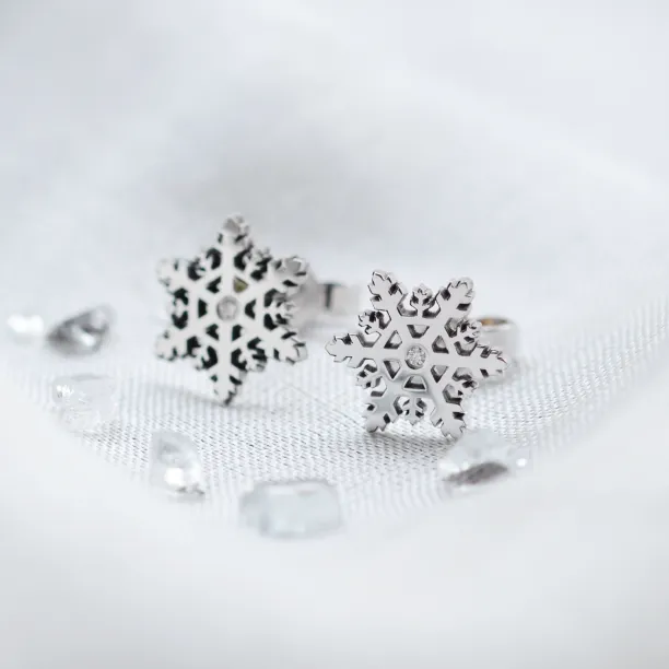 ARIANA silver earrings with a diamonds Image