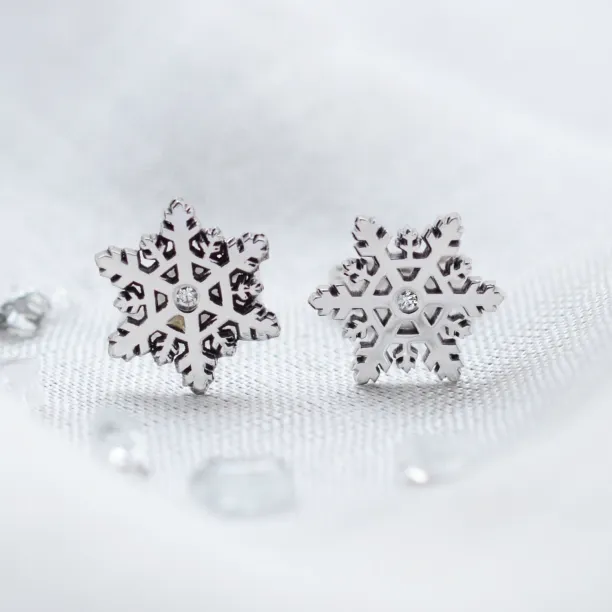 ARIANA silver earrings with a diamonds Image