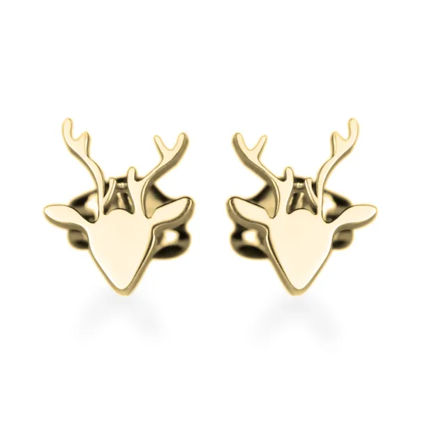 LILLY stylish golden earrings Image