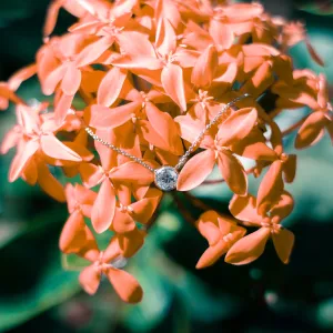 Simple Gold necklace with moissanite NOKKEN Thumbnail