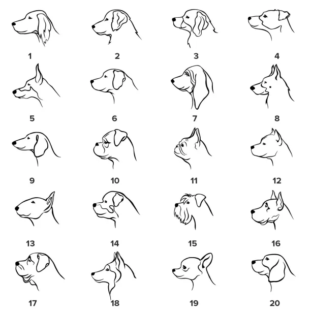 YUM silver pendant with diamond for the pet lovers Image