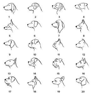 YUM gold diamond pendant for the pet lovers Thumbnail