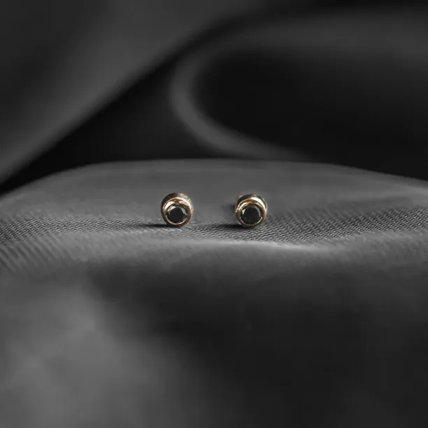 ANY Golden stud earrings with a black diamond Image
