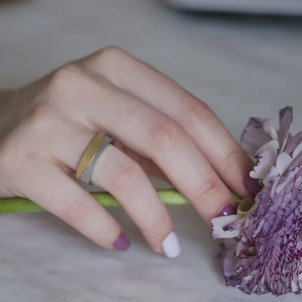 DIDO matte combination gold diamond wedding rings Image