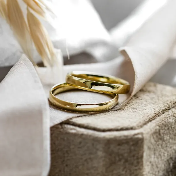 Solid wedding rings made of yellow gold VIRGINIE Image