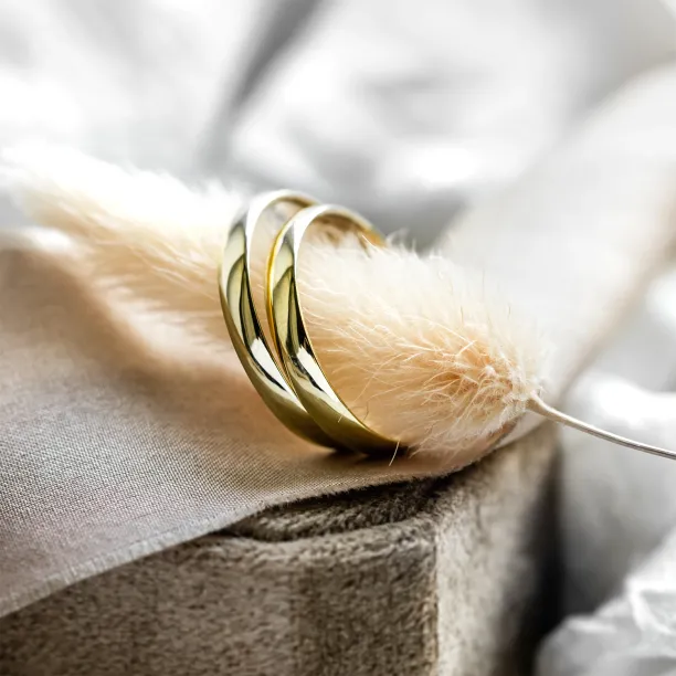 Solid wedding rings made of yellow gold VIRGINIE Image