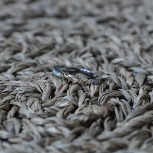 HAVME combination gold diamond dress ring Thumbnail