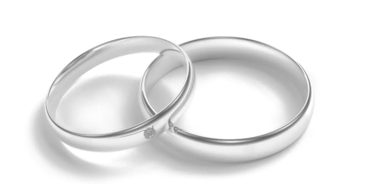 D-SHAPE red gold wedding rings with diamond UTAH Image